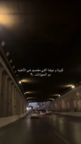 #اكسبلور #explore #fyp #فوريو #هواجيس #viral #foryoupage #سبيستونيات 