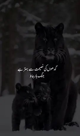 #foryoupage #bhatti #fypシ゚viraltiktok☆♡🦋my✌️video 