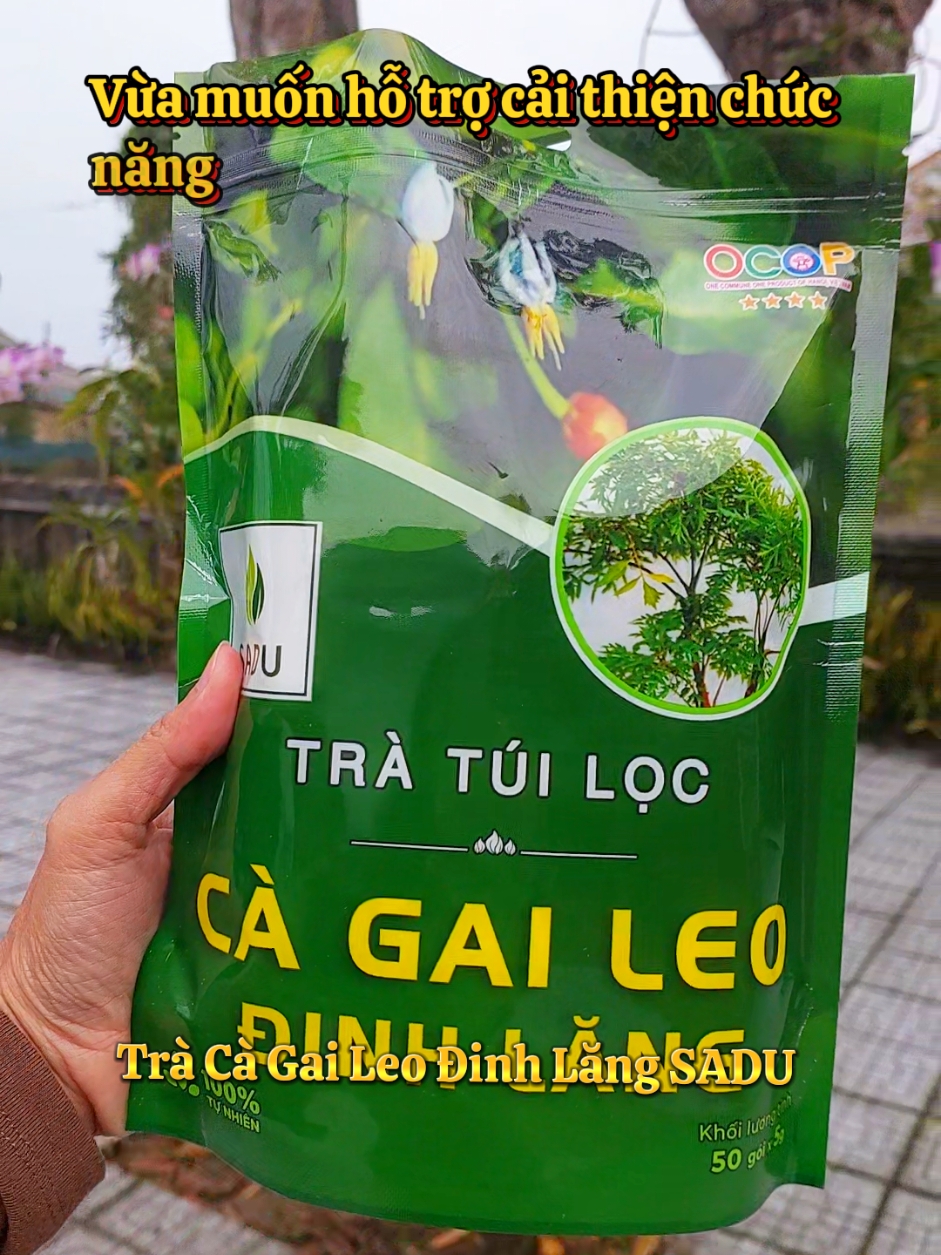 Trà Cà Gai Leo Đinh Lăng SADU,hỗ trợ ngủ ngon,sâu giấc.. #tracagaileodinhlangsadu #tracagaileodinhlang #salegiuathang #trathaomocyen 