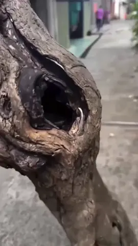 jadikan intro konten video kita lebih menarik. klik link di bio sekarang