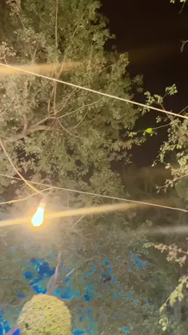 #shahroombukhari3 #unfrezzmyaccount #viralvideo #🦅🦅🦅 