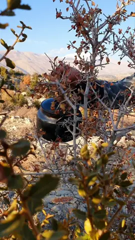 #البقاع🇱🇧 #اليمونة #جمال_الطبيعه #شاي_اكرك_عجم #🌺🌸🌼🌻🍃🍂🍁🌹🌷🍀🌿🌺🌸 