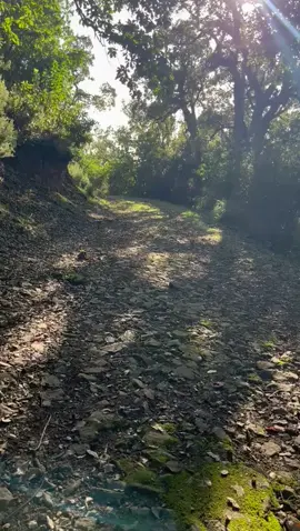 #تونس🇹🇳  #تونس  #tunisia  #tunisia🇹🇳  #naturphotography  #benimtir  #benimtirtunisia🏕  #benimtiroutdoors  #camping  #campinglife  #nature  #تخييم  #طبيعة_ساحرة  #طبيعة_جمال_راحة  #غابة  #explore  #اكسبلور  #trendingsong  #trendingvideo  #motivation  #pourtoi  #pyf  #pyfツ  #pyp  #CapCut  #شعب_الصيني_ماله_حل😂😂  #جندوبة_فرنانة_بني_مطير_عين_دراهم🥰🥰  #جندوبة  #عيندراهم🇹🇳  #🇹🇳  بني مطير الساحرة 