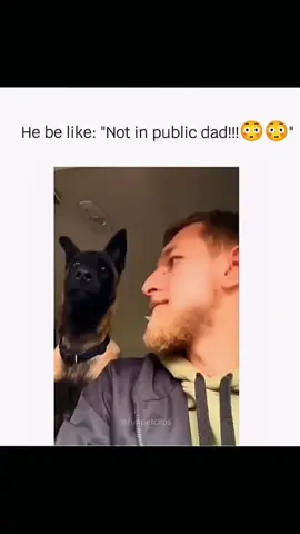 Funny and cute dogs compilation 🤣 #funnydog #funnypet #cutedog #dogsoftiktok #dog 