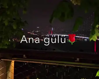 Mən ona aşiq olmuşam🤍#gecəpostu♫ #sonyuxusu #yazılıvideolar #imovie #icazesizekme🚫 #keşfetteyizzz #varolun🖤👑💎 #tutblee❗️🗽 #keşfetbeniöneçıkart #lyrcs 