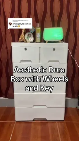Replying to @edenmartinez178  ang ganda ng aethetic na dura box na ito,Maganda at matibay pa #fyp #foryou #duraboxcabinetdrawer #durabox #aetheticdrawer 