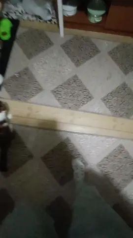 #часикитикают часикитикают