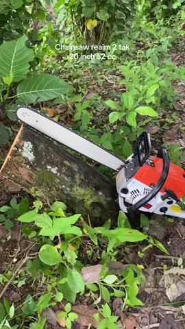 Cek keranjang chainsaw2 tak reaim 52 cc,harga terjangkau,#chainsaw #chainsaw2tak#chainsawreaim#chainsawmurah#chainsawbensin #senso#gergajichainsaw #gergajikayu 