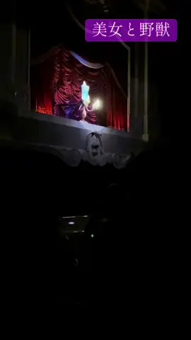 美女と野獣アトラクション💕💕💕最高だった❤️❤️❤️ #美女と野獣 #ディズニーランド #TDL#ディズニークリスマス #クリスマス 