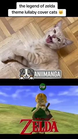 #zelda #legendofzelda #link #lullaby #theme #song #zeldaocarinaoftime #ocarinaoftime #meow #nintendo #game #retro #gamers #foryou #pourtoi #tendance #viralvideos #videoviral 