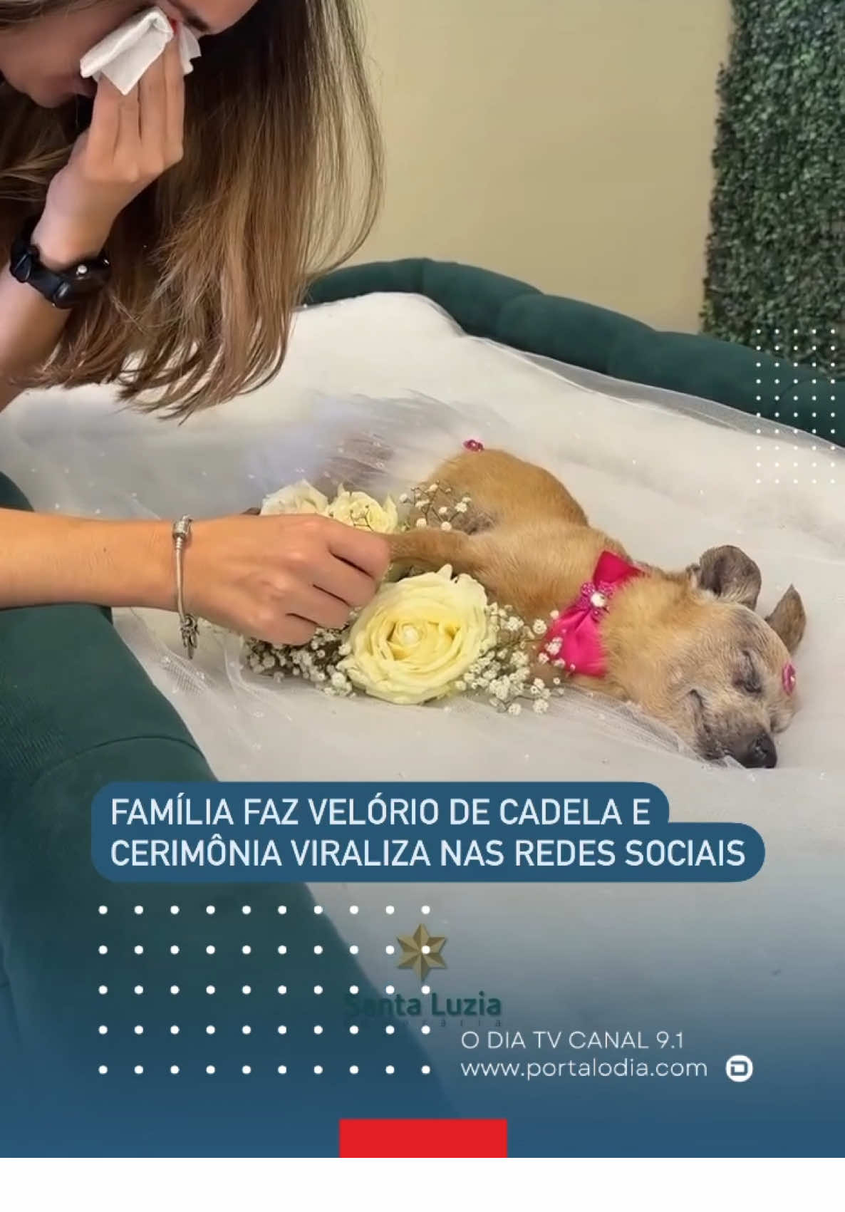 Renata Melo e Wilma Messias realizaram um velório para sua cadela Minnie, que por 17 anos foi uma amiga de quatro patas e fez parte da sua família. O momento, que dividiu opiniões, foi compartilhado por milhares de internautas. A cerimônia foi organizada com o apoio da Funerária Santa Luzia, uma empresa com mais de 40 anos de experiência no mercado de Minas Gerais. Qual sua opinião sobre o assunto?
