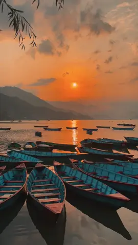 #Pokhara #LakesidePokhara #VisitPokhara #PokharaNepal #PokharaDiaries #BeautifulPokhara #ExplorePokhara #PhewaLake #LakeSideView #NepalNature #MountainView #PeacefulPokhara #NatureLoversNepal #TravelNepal #NepalAdventures #VisitNepal2024 #TravelGoals #NepalTravelDiary #NepalPhotography #PokharaViews #NepalScenery #WanderlustNepal #SunsetPokhara