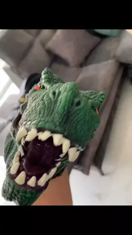 niki vs t-rex 😂 #pet #foryou #PetsOfTikTok #fypシ #chihuahua #dog 