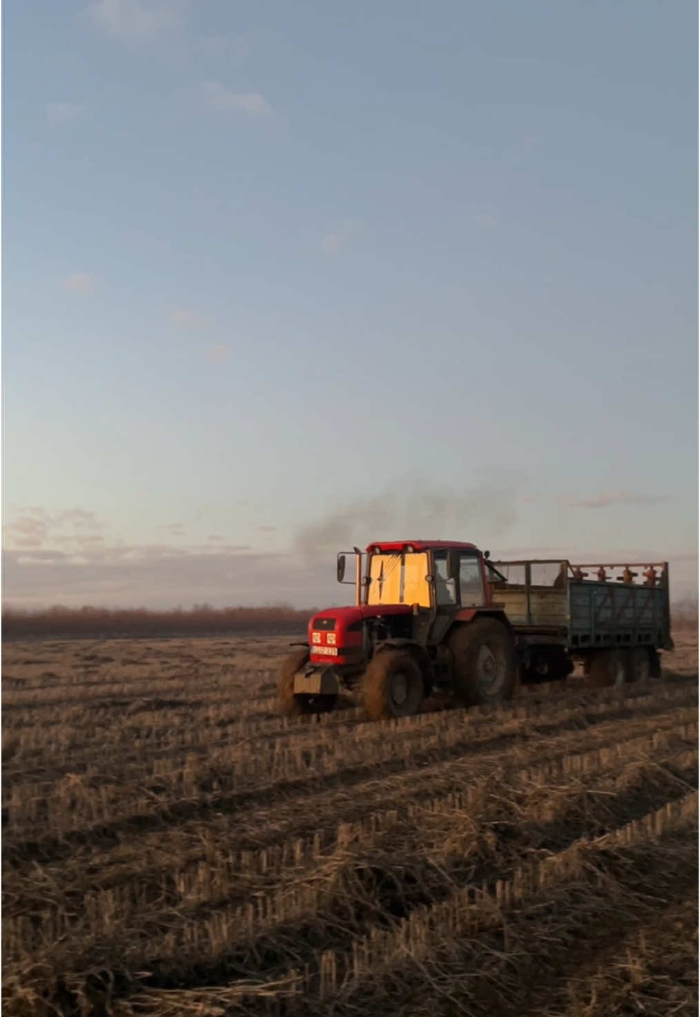 Naplementés 🦉 #belarustractor #belaruspower #kokasteam💯 #mtz #mtzpower #turbosmtz #turbodiesel @Mtya199 @Sándor Péter @Máté Soós @Gajdics Zsolt 