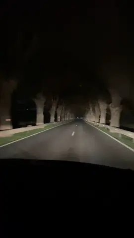 Night drive ❤️#CapCut #الشعب_الصيني_ماله_حل😂😂 #foryoupage #viralvideo #viral #algeria🇩🇿 #pourtoiiiiiiiiiiiiiiiii #foryou #fypシ #pourtoi #fypシ゚viral #algeria #tunisia🇹🇳 #