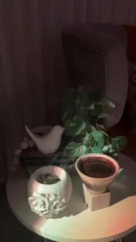 #تستاهل- انغام - القصايد#قهوتي☕مزاجي☕ #تصويري📸اكسبلوور 