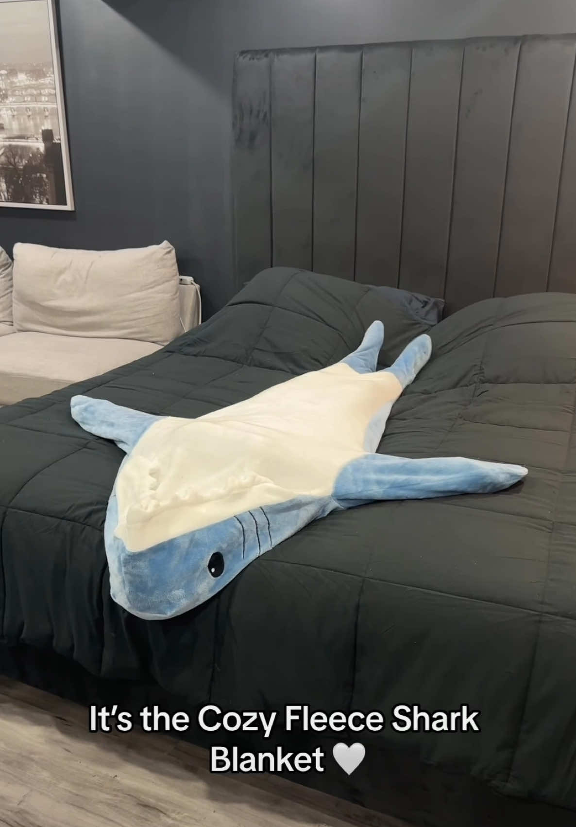I love making her happy 🥹 #trending #viralfinds #viral #couplegoals #cozyshark #sharkblanket #foryoupage #fy 