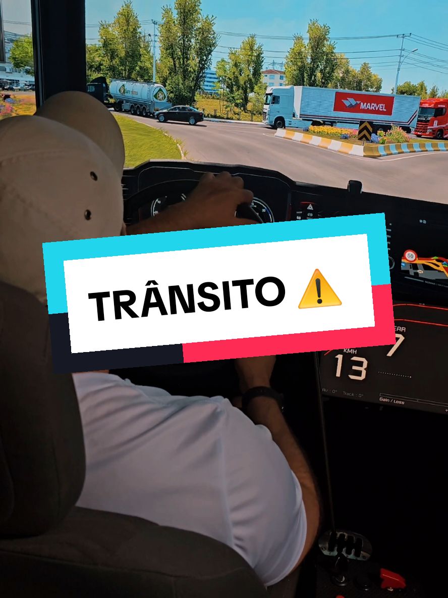 a gangue dos motoqueiros foi eliminada 💀 #videogames #gamesnotiktok #games #game #gamer #eurotrucksimulator2 