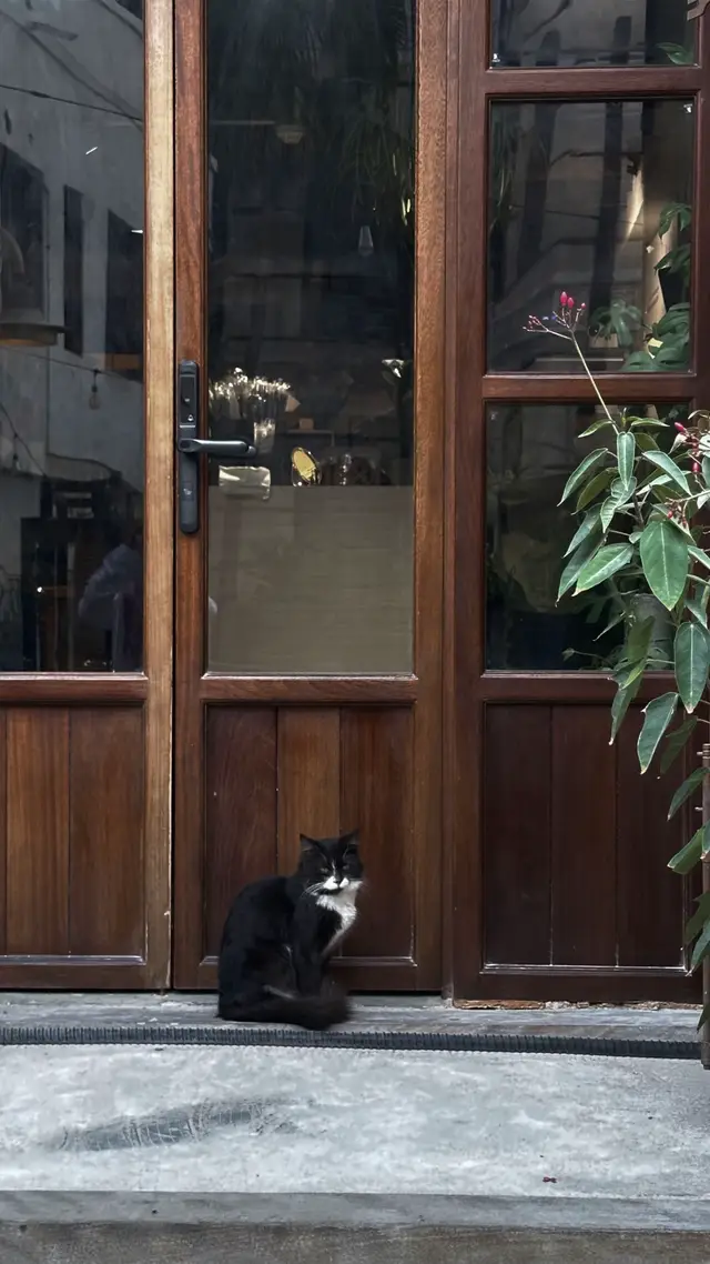 البلد ☕️🐈 #جده #البلد_التاريخية 