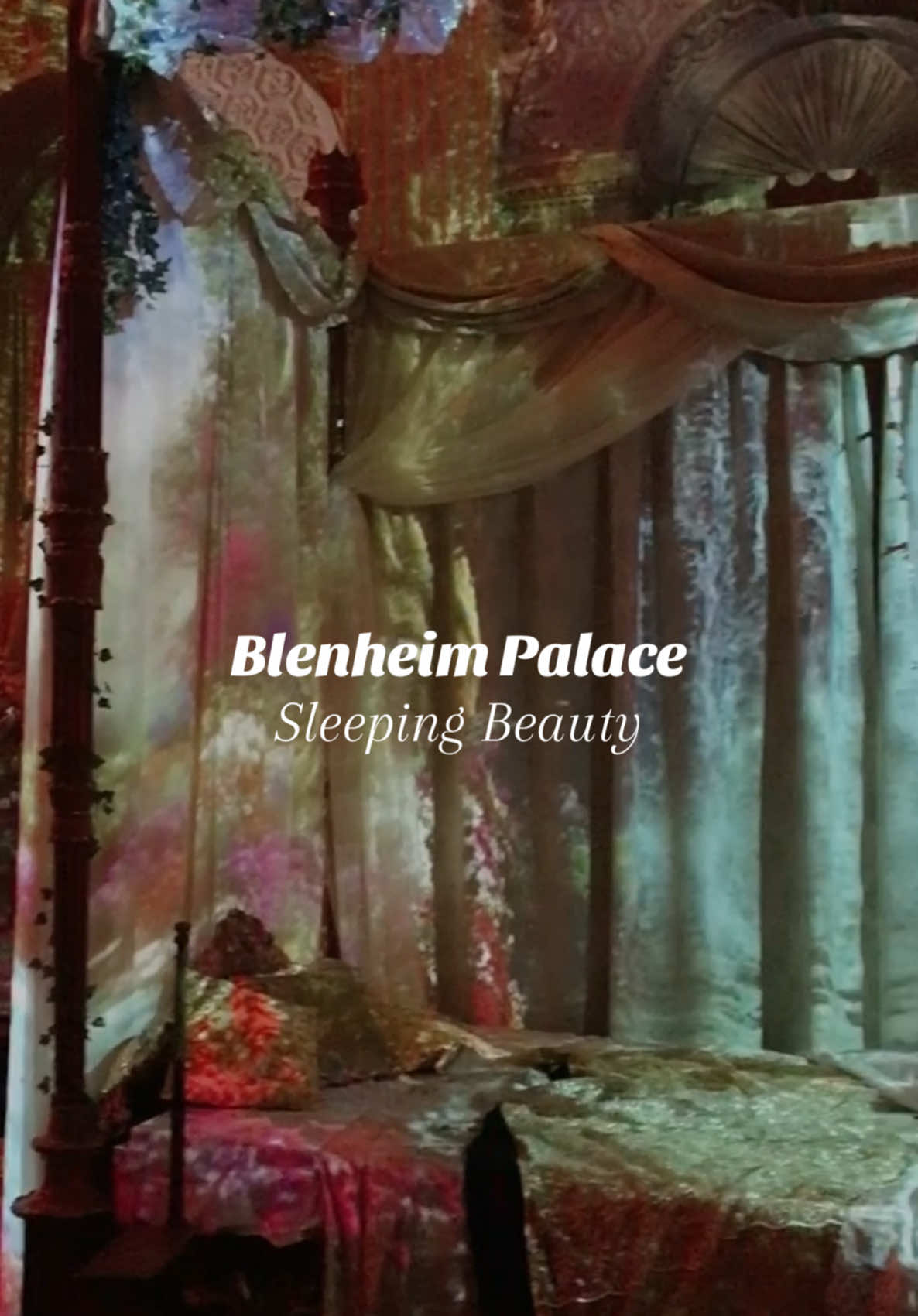 Yearly tradition — Last year at Blenheim Palace ‘Sleeping Beauty’ Theme #sleepingbeauty #thingstodo #london #blenheimpalace #traillights #christmas #oxford 