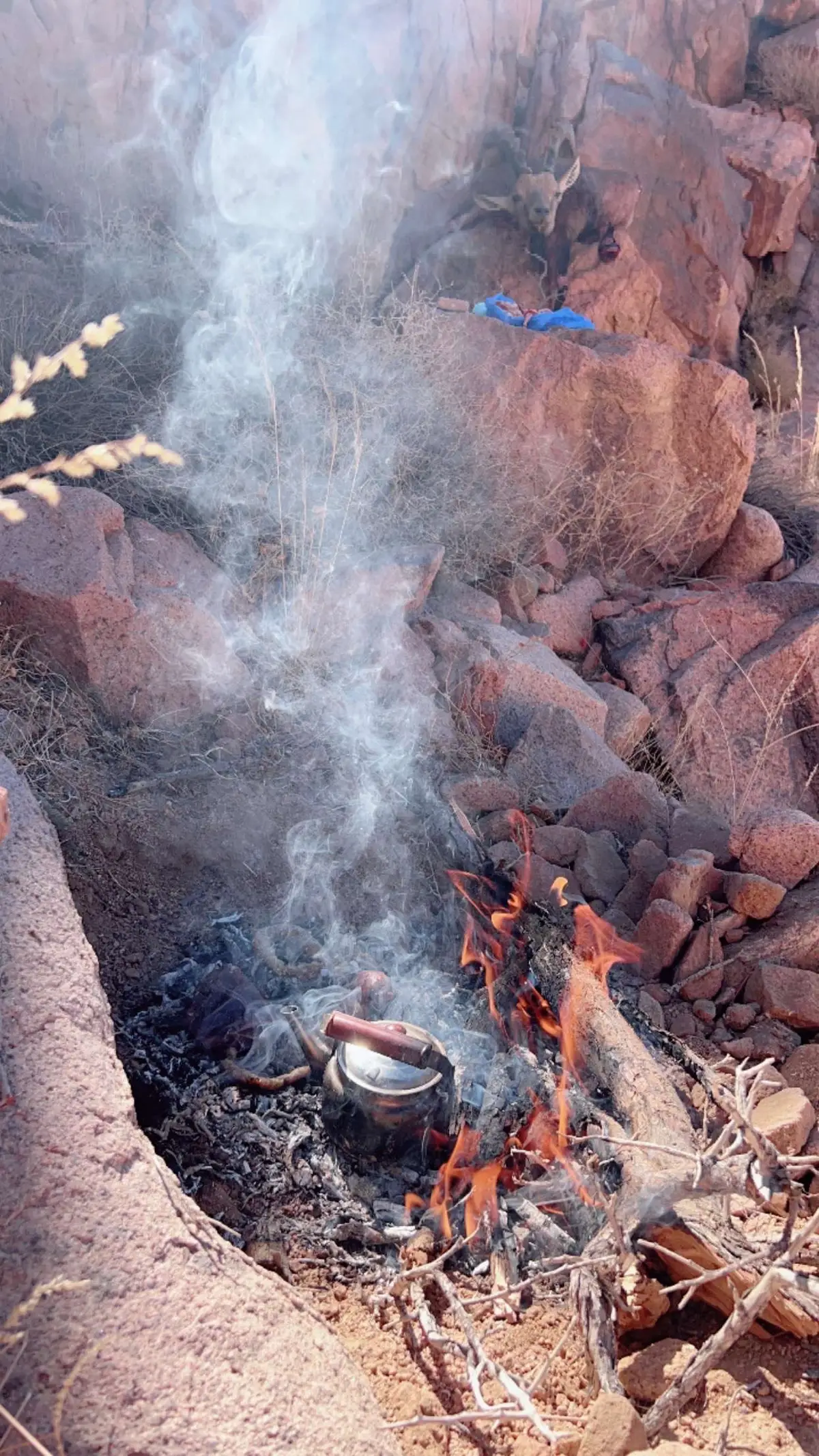 #اكسبلور_تيك_توك #كشتات_طلعات_البر 