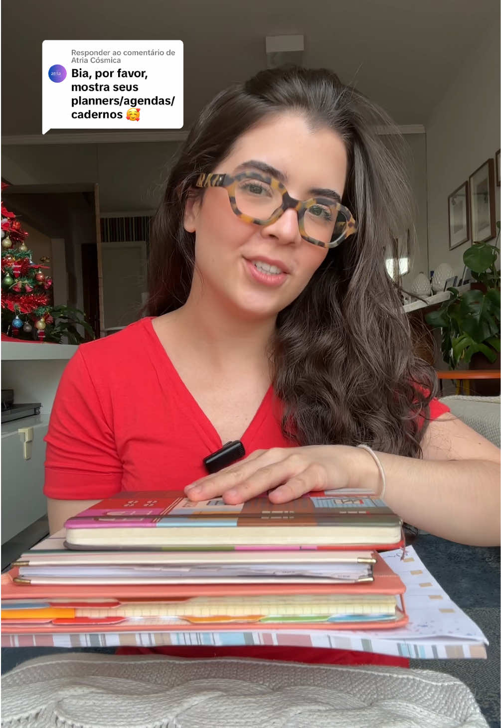 Respondendo a @Atria Cósmica meus Planners e Agendas! Marcas: Cicero, Detail Papelaria, MegMeg (fechou), Nira Design e Tilibra #studytok 