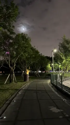 احلى وقت للهواجيس 😢 #هواجيس #قطر #قطر_الدوحة🇶🇦 #قطر2022 #qatar #park #natural #thoughts #travel #تفكير #جمال #قمر #ليل #قران_كريم #ذكر #الله 