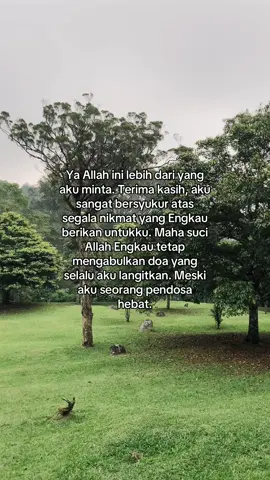 Pagi ini perasaan kecampur aduk. Di sisi lain sedih dan malu karena Allah selalu mengabulkan doa-doa yang selalu aku langitkan tapi di sisi lain terharu akhirnya doaku selama ini Allah kabulkan #NasihatTeman #selfreminder #fyp #stoicism #AnakKedua 