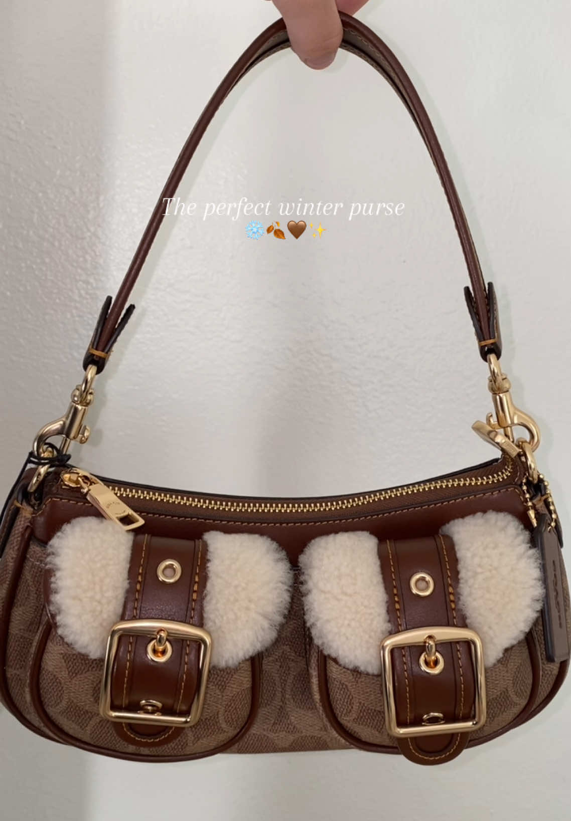 Early Christmas gift from my man 🥹🤎 the most beautiful handbag for winter ❄️🦢🤎🍂 @Coach #coach #ashtonbaguette      #coachoutlet #purse #winter 