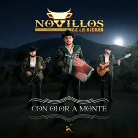 Novillos de la sierra, El Bitache #novillosdelasierra #🧠 #✍️ #🎵 #cln 