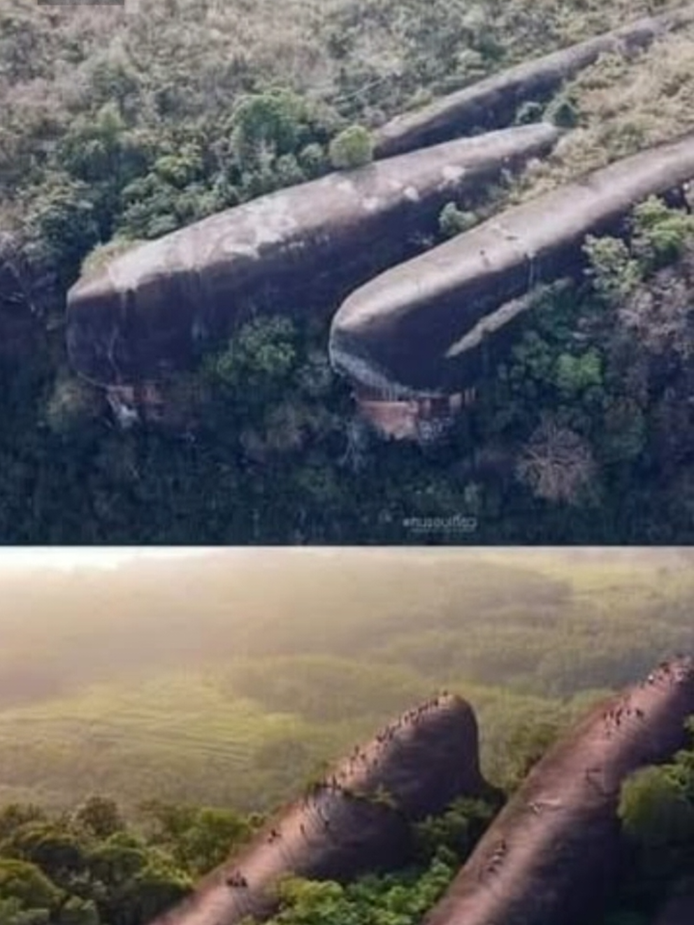 Hin Sam Wan #SabiasQue #interesante #EduTok #asombroso 