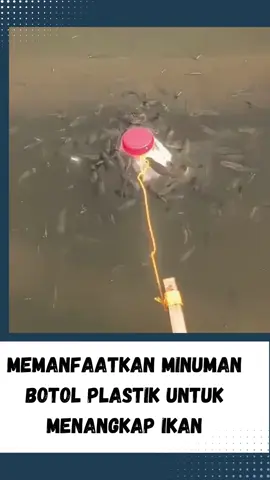 Memanfaatkan Minuman Botol Plastik Untuk Menangkap Ikan #wongnganggur #news #fyp #beritaterkini #beritaterbaru #newsupdate #gosipartis #fypシ #fypシ゚viral #beritaviral #hotnews #breakingnews #beritaunik