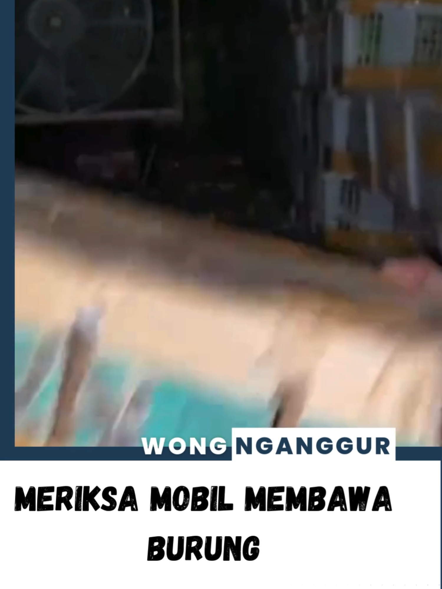 Meriksa Mobil Membawa burung #wongnganggur #news #fyp #beritaterkini #beritaterbaru #newsupdate #gosipartis #fypシ #fypシ゚viral #beritaviral #hotnews #breakingnews #beritaunik