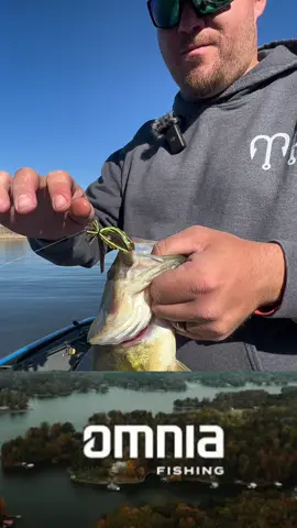 It doesn’t matter if you are looking for killer deals on fishing tackle or looking to do more research on the bodies of water you fish. The Omnia Pro app offers a great value to anglers to help the get some great deals and catch more fish all year long 🎣 #fishingaddict #fishinglifestyle #fishingislife #fishingtime #fishingvideos #fishinglures 