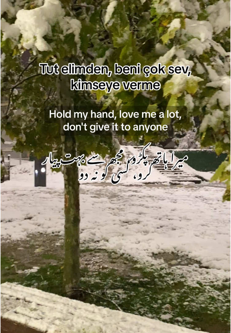 Tut elimden ❤️ Turkish songs with urdu and english translation #turkey #turkish #snow2024 #snow #turkishsong #fyp #foryou #follower #trend #viralvideos #trend #viralsongs #trendingvideo #sadsong 