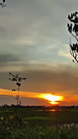 :) #suzuki #delkevic #bpro #fdr #arvi #sj88exhaustracing #ngrt #ktc #vrossi #rcb #satriafu 