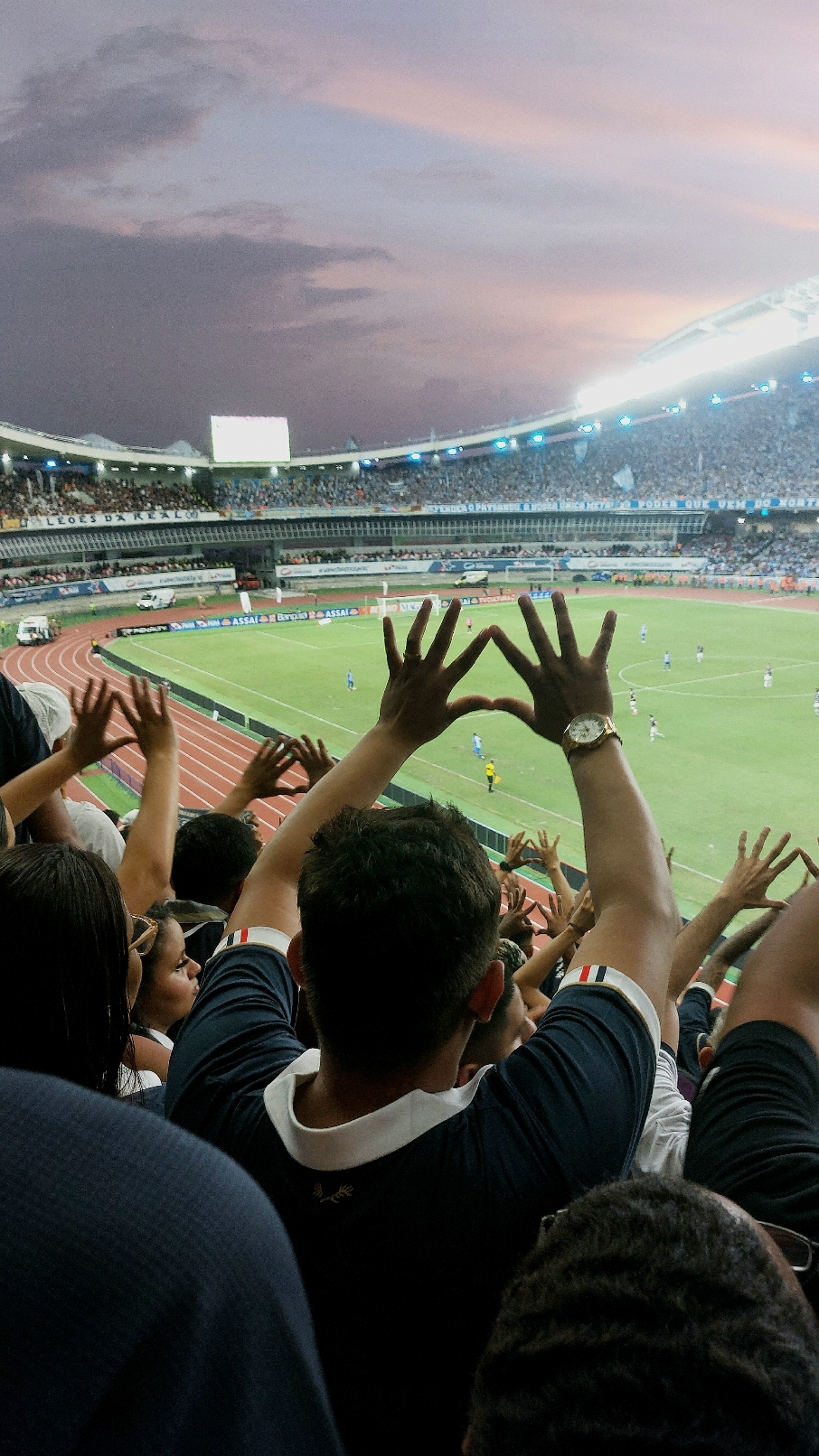 Maior do Norte 💙🦁 #clubedoremo #maiordonorte #remoçada #torcidaorganizada 