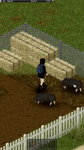 Build 42 Project zomboid petting a pig #projectzomboid #newupdate #projectzomboidnewupdate #fyp #viral_video