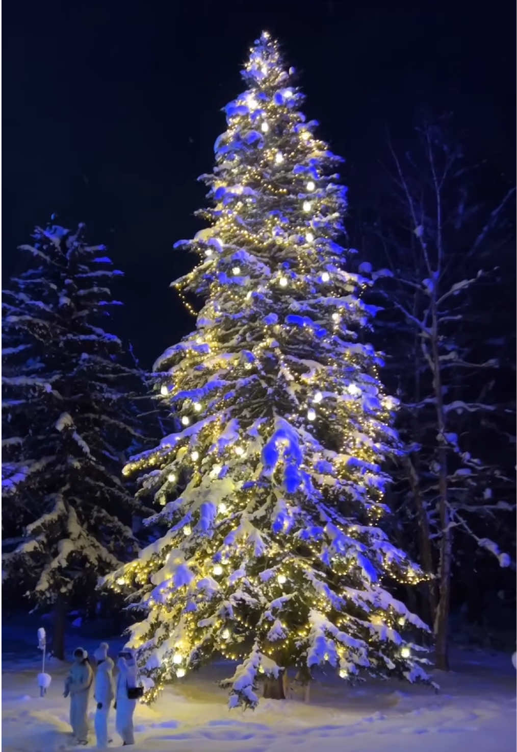 📍Hokkaido, Japan 🇯🇵 The most beautiful Christmas tree 🎄 I’ve ever seen 🥹 I’m so happy I got to see it! 🥰 Location: Biei, Hokkaido 🇯🇵🎄#japan #japantravel #japantiktok #tiktoktravel #hokkaido #美瑛 