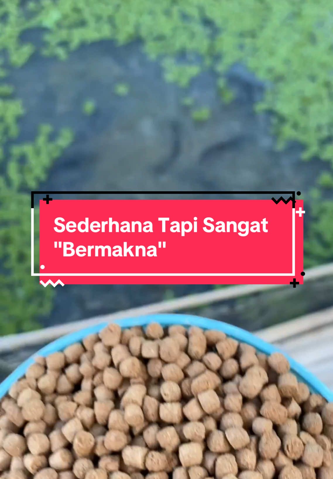 . Hidup itu sudah ditetapkan bahwa lebih sederhana lebih cantik..🥰❤️ #fyp #foryoupage #fypage #hidupsederhanadanbersyukur #hidupsederhana 