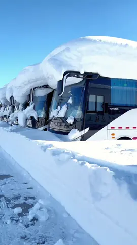 As the heavy snow falls in winter, even the buses in Xinjiang are wearing thick 