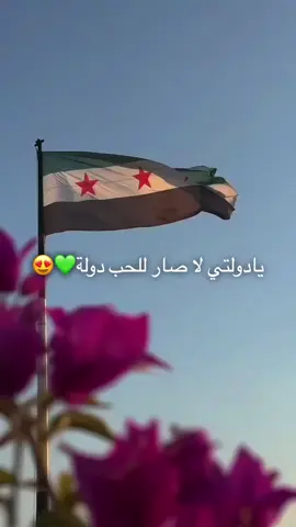 #سوريا💚 #💚💚💚 #سورية_حرة #سورية_ادلب_حمص_دمشق_شام_درعا_حماة #ادلب_حمص_حلب_شام_درعا_حماة #يادولتي_لاصار_للحب_دوله 
