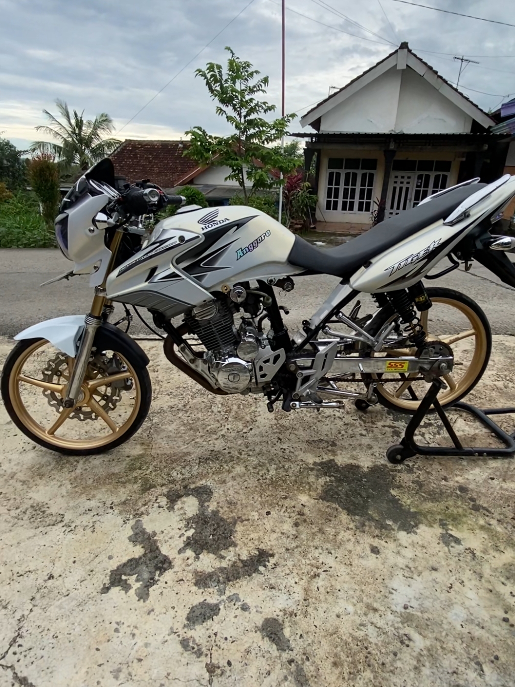 kalo di jual laku brp ya??#tigeranggoro #fyp #tigermodifikasiblitar #jamaahpece #pecegank #tigergank #tigertuban #jamaahherexrantau #tigermadura #officialherexpasuruan #tigeralbino #herexjatim #herexhitz #CapCut 