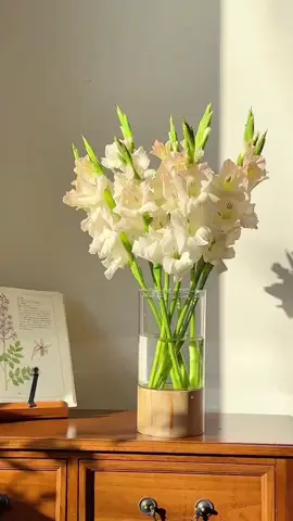 Rồi chúng ta sẽ lớn, sẽ có một cuộc sống tốt 🌱 #camhoa #flowers #camhoanghethuat #thichnhacohoa #trending #xuhuong 