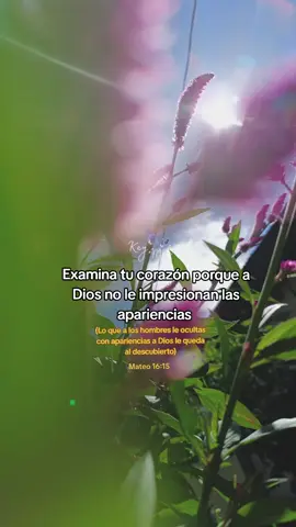 A Dios nada se puede esconderle #hagamosviralajesus #fyp 