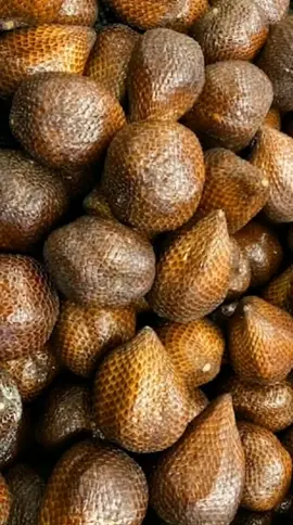 Am I buying fruits or… puppies? 👀🍂 #magichourai #magichourillusions #madewithmagichour #animals #fruit #puppy #doglover #fyp #trending #ai #aivideo #transformation #fun #aigenerated #trending  #viraltiktok #aiedit #edit 