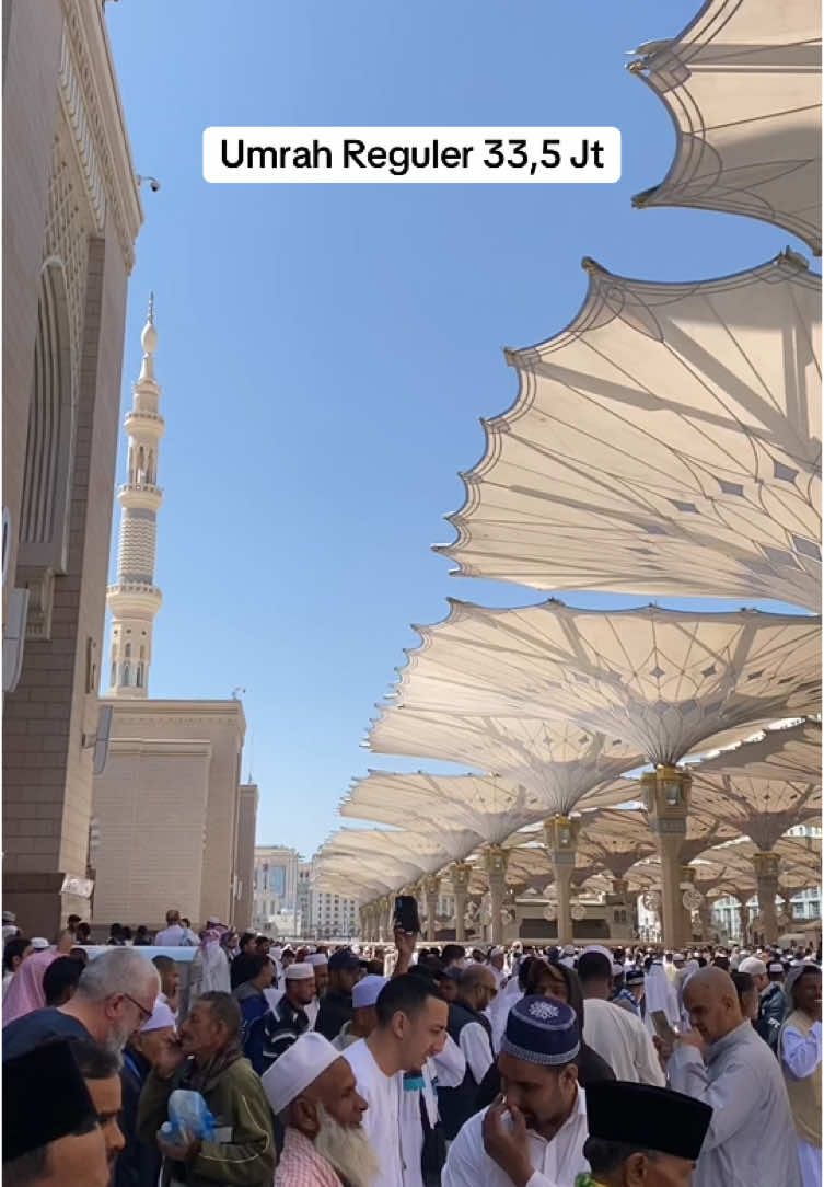 *UMRAH NYAMAN BANYAK PLUSNYA!😍* *!! Sampai di Hari Yang Sama !!* *✨Paket 12 Hari✨* *Keberangkatan Februari 2025 *  *🌸INCLUDE🌸* ✨ *Terbang Langsung Padang - Jeddah (transit SG, hanya ganti gate)* ✨ *Hotel Dekat Masjid* ✨ *Free Kereta Cepat Madinah - Makkah* ✨ Catering Menu Indonesia 3× sehari ✨ Ziarah Kota Makkah & Madinah ✨ *+ Ziarah ke Kota Thaif* ✨ Full Bimbingan Tour leader & Muthawwif  ✨ Full Meal & Snack Selama Perjalanan ✨ Asuransi Perjalanan  ✨ Free Zamzam 5 Litter  ✨ *All In hanya Rp 33,5JT!* *Ayoo amankan seatnya dari sekarang🥰* Mari tunaikan ibadah umroh yang khusyuk bersama Travel Armindo Jaya Tur 🕋✨