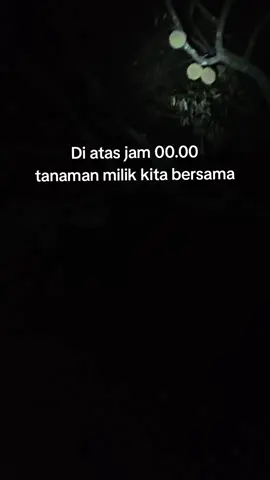 siang ngk di kasih mlm kita beraksi🤣 #durian #fyp #musangking #viral 