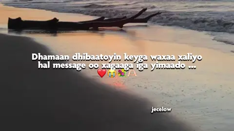 love Saar ❤️😭  #fypシ゚viral #foruyou #forupage #qoraalo #wllhaara #jecelow #fyp #somaalitiktok 