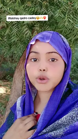 #soomalia Tiktok qadro llove you abayo mcn 🎵❤️‍🔥😭